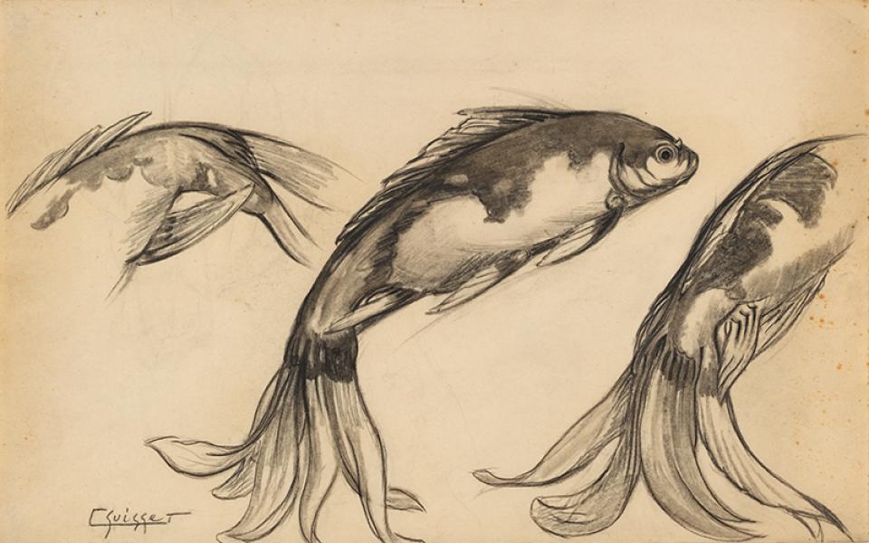 Poissons carpes Koi
