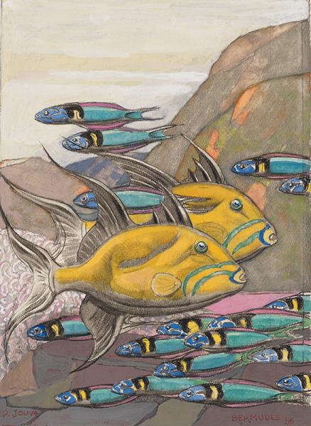 Poissons des Bermudes, 1956